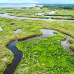 Florida’s Eden: Serenity, Savagery, and the Calculus of Coexistence Florida’s Eden: Serenity, Savagery, and the Calculus of Coexistence