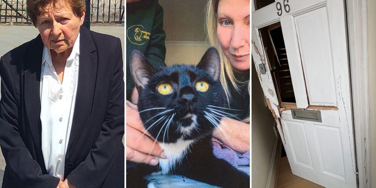 Elderly Human Rights Lawyer Sues Police for Unlawful Cat Seizure