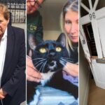 Elderly Human Rights Lawyer Sues Police for Unlawful Cat Seizure Elderly Human Rights Lawyer Sues Police for Unlawful Cat Seizure