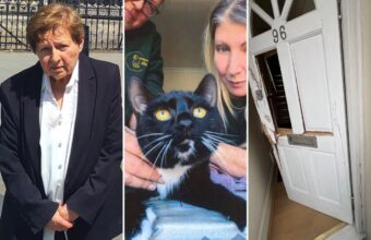 Elderly Human Rights Lawyer Sues Police for Unlawful Cat Seizure