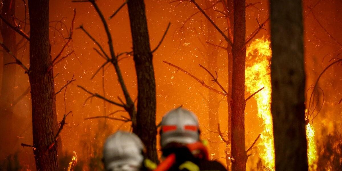 UK Braces for Wildfires Following Devastating Blazes in France and Spain
