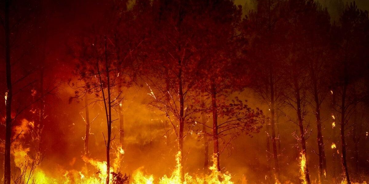 Massive Wildfires Engulf France and Spain, Prompting Urgent Evacuations