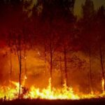 Massive Wildfires Engulf France and Spain, Prompting Urgent Evacuations