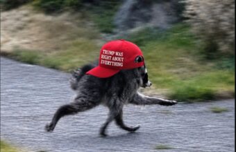 Public Outrage Erupts Over White House’s ‘MAGA’ Raccoon Post