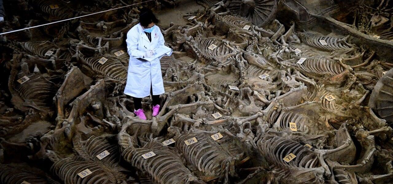 Ancient China Wars: Lessons on Hegemony and Balance of Power