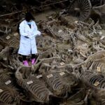 Ancient China Wars: Lessons on Hegemony and Balance of Power Ancient China Wars: Lessons on Hegemony and Balance of Power
