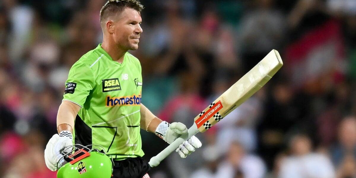 Australian Cricket Star David Warner Pleads Guilty to Drink-Driving Charge