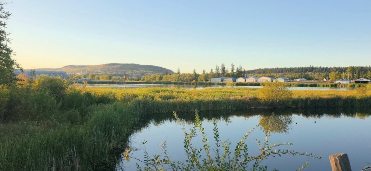 Sanctuary’s Quiet Battle: BC Wetland Becomes Ground Zero for Canada’s Green Ambitions