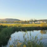 Sanctuary’s Quiet Battle: BC Wetland Becomes Ground Zero for Canada’s Green Ambitions Sanctuary’s Quiet Battle: BC Wetland Becomes Ground Zero for Canada’s Green Ambitions