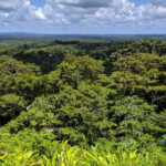 Europe’s Green Jewel: Bureaucracy vs. Biology in an Interconnected World