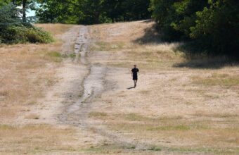 UK Farmers Warn of Imminent Food Shortages Amid Drought Crisis