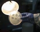 Safety Concerns Arise as Scientists Create First AI-Designed Viruses Safety Concerns Arise as Scientists Create First AI-Designed Viruses