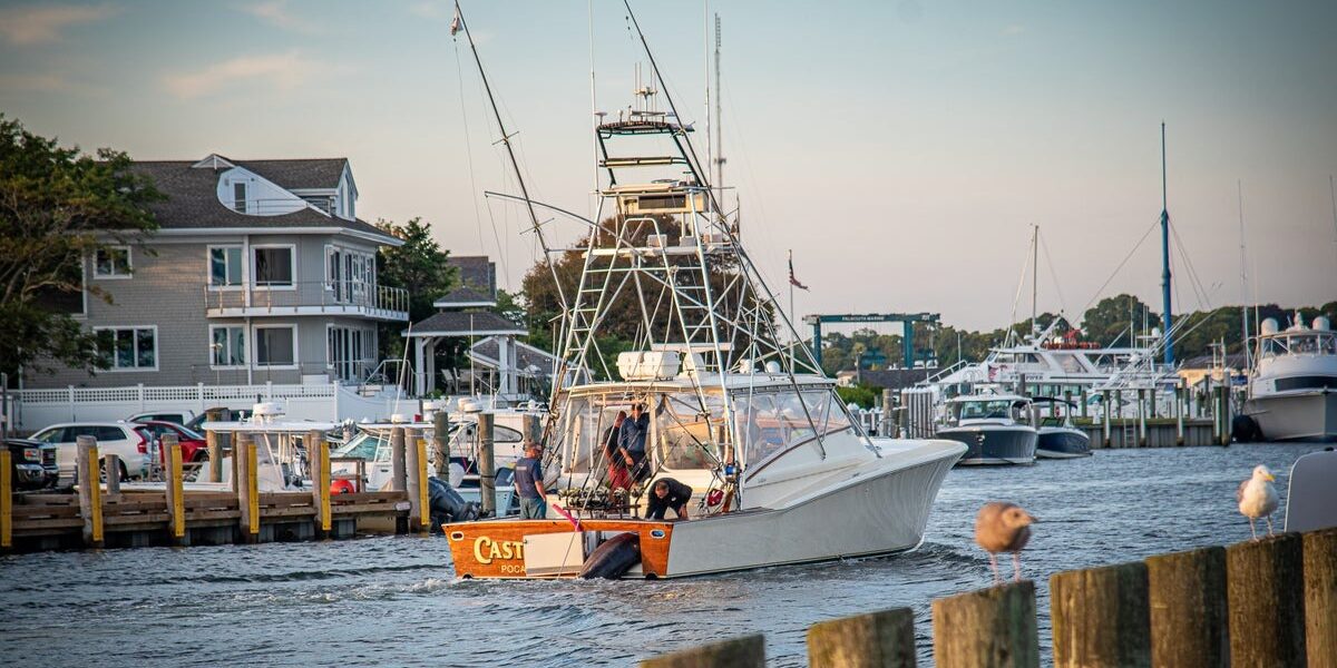 Record-Breaking 1260-Pound Atlantic Blue Marlin Caught Off East Coast