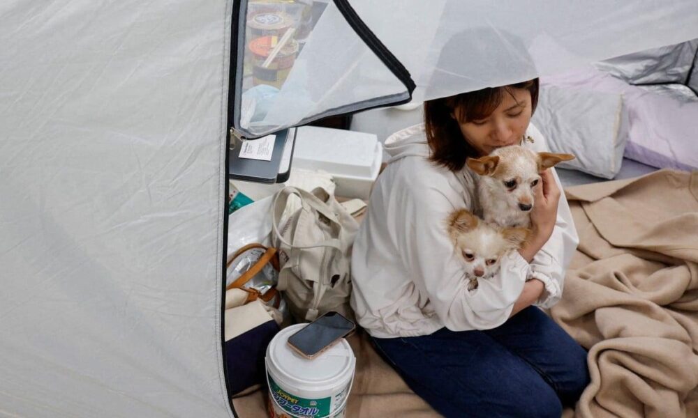 Japan Earthquake Evacuees Find Shelter with Pets at Kumamoto Animal Hospital