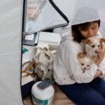 Japan Earthquake Evacuees Find Shelter with Pets at Kumamoto Animal Hospital