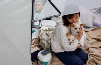 Japan Earthquake Evacuees Find Shelter with Pets at Kumamoto Animal Hospital
