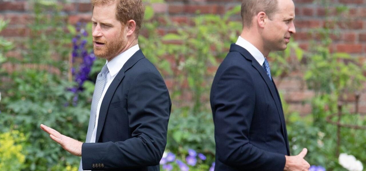 Prince Harry’s UK Return: Impact on Royal Family Relations Examined