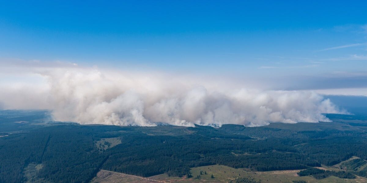 Hundreds Evacuated Amid Devastating Wildfires in Belgian Nature Reserve