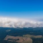 Hundreds Evacuated Amid Devastating Wildfires in Belgian Nature Reserve Hundreds Evacuated Amid Devastating Wildfires in Belgian Nature Reserve