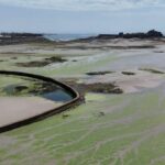St Aubin’s Bay Experiences Unprecedented Summer Free of Green Sea Lettuce