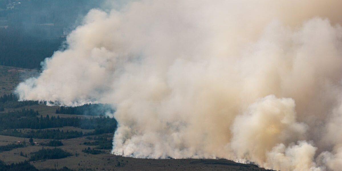 Belgian Wildfire: Firefighters Battle Blaze as Hundreds Evacuate