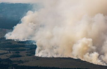 Belgian Wildfire: Firefighters Battle Blaze as Hundreds Evacuate