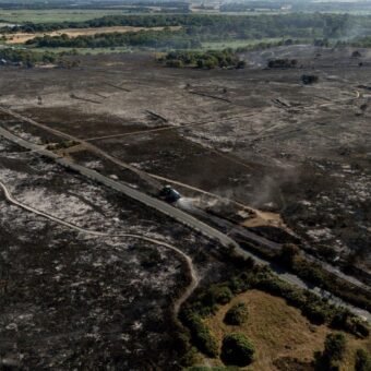 Suffolk Wildfire: National Trust Launches Appeal Amid Ongoing Blaze