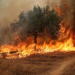 Europe Faces Crisis as Record Heat Sparks Wildfires and Drought Europe Faces Crisis as Record Heat Sparks Wildfires and Drought