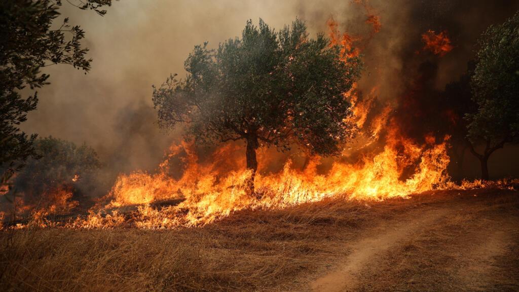 Europe Faces Crisis as Record Heat Sparks Wildfires and Drought Europe Faces Crisis as Record Heat Sparks Wildfires and Drought
