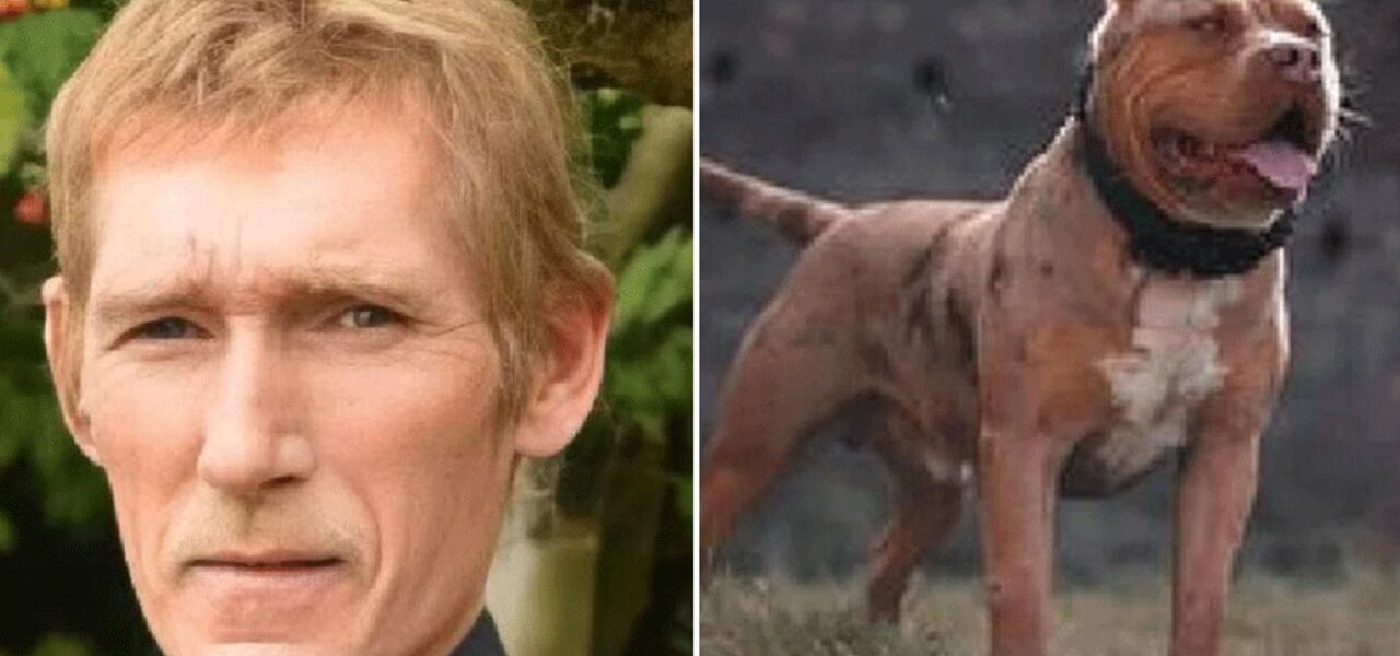 Man Fatally Bitten by American XL Bully in UK Garden, Court Hears