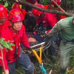 60-Year-Old Woman Found Alive 11 Days After Disappearance Near Hong Kong Cemetery