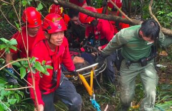 60-Year-Old Woman Found Alive 11 Days After Disappearance Near Hong Kong Cemetery 60-Year-Old Woman Found Alive 11 Days After Disappearance Near Hong Kong Cemetery