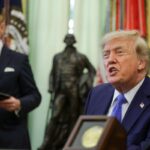 Trump Issues Executive Orders to Challenge Birthright Citizenship