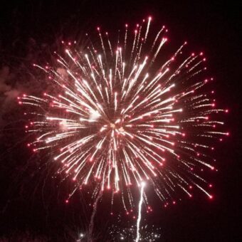 MPs Call for Fireworks Ban Amid Wildfire Crisis in UK MPs Call for Fireworks Ban Amid Wildfire Crisis in UK