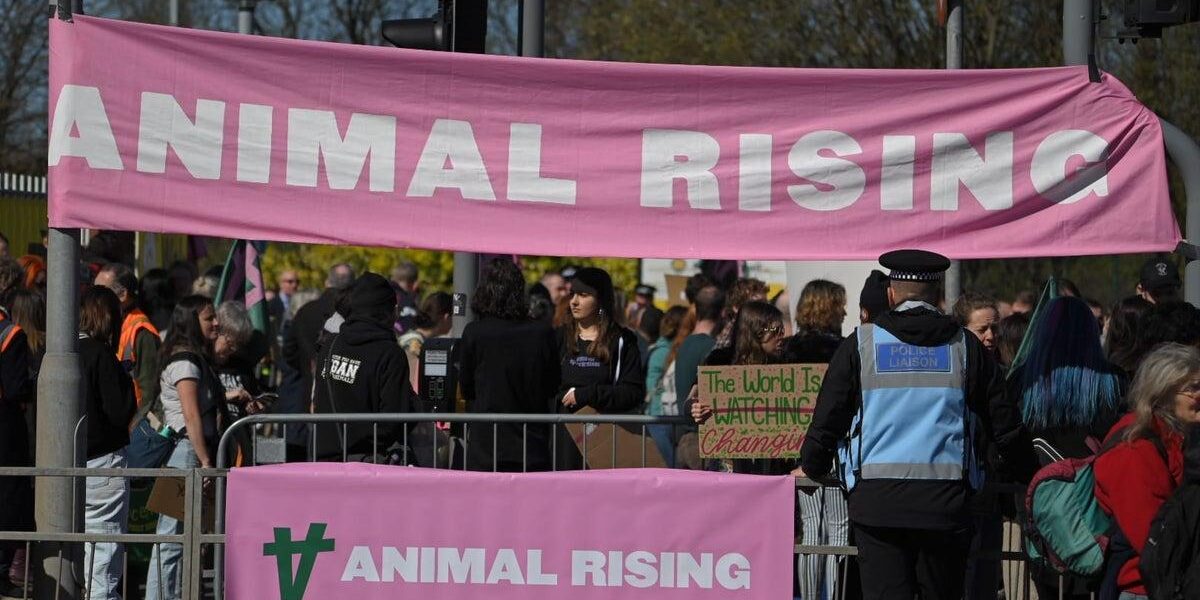Animal Rights Activists Sue Met Police for Wrongful Arrests Ahead of King’s Coronation Animal Rights Activists Sue Met Police for Wrongful Arrests Ahead of King’s Coronation