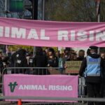 Animal Rights Activists Sue Met Police for Wrongful Arrests Ahead of King’s Coronation Animal Rights Activists Sue Met Police for Wrongful Arrests Ahead of King’s Coronation