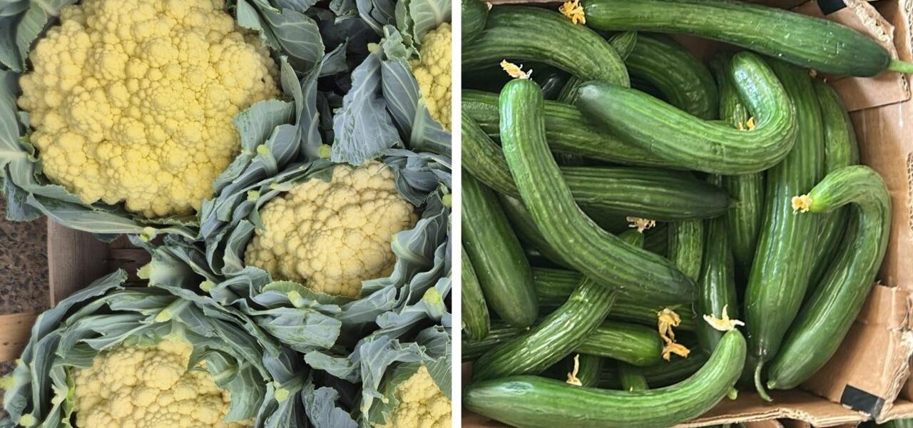 Heatwaves Increase Availability of Misshapen Vegetables in UK Supermarkets Heatwaves Increase Availability of Misshapen Vegetables in UK Supermarkets