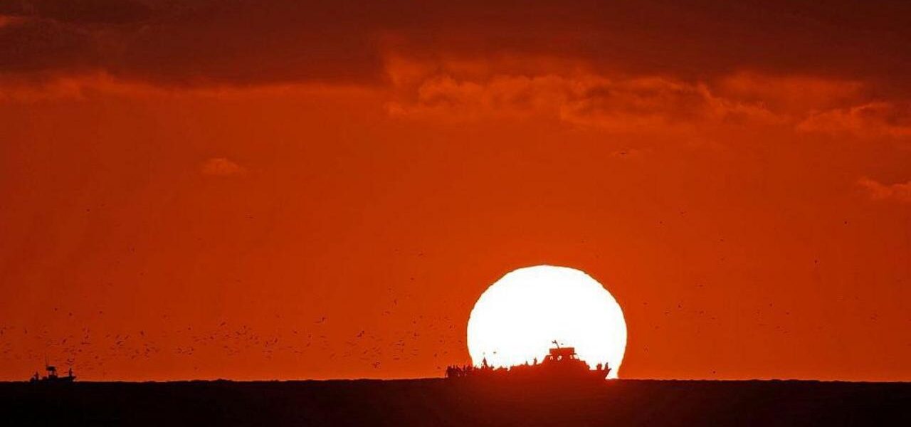 Global Ocean Temperatures Reach All-Time High Amid El Niño Intensification Global Ocean Temperatures Reach All-Time High Amid El Niño Intensification