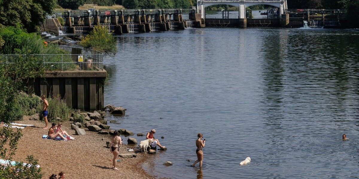 Toxic Chemicals Found in Every Body of Water in England, Report Reveals Toxic Chemicals Found in Every Body of Water in England, Report Reveals