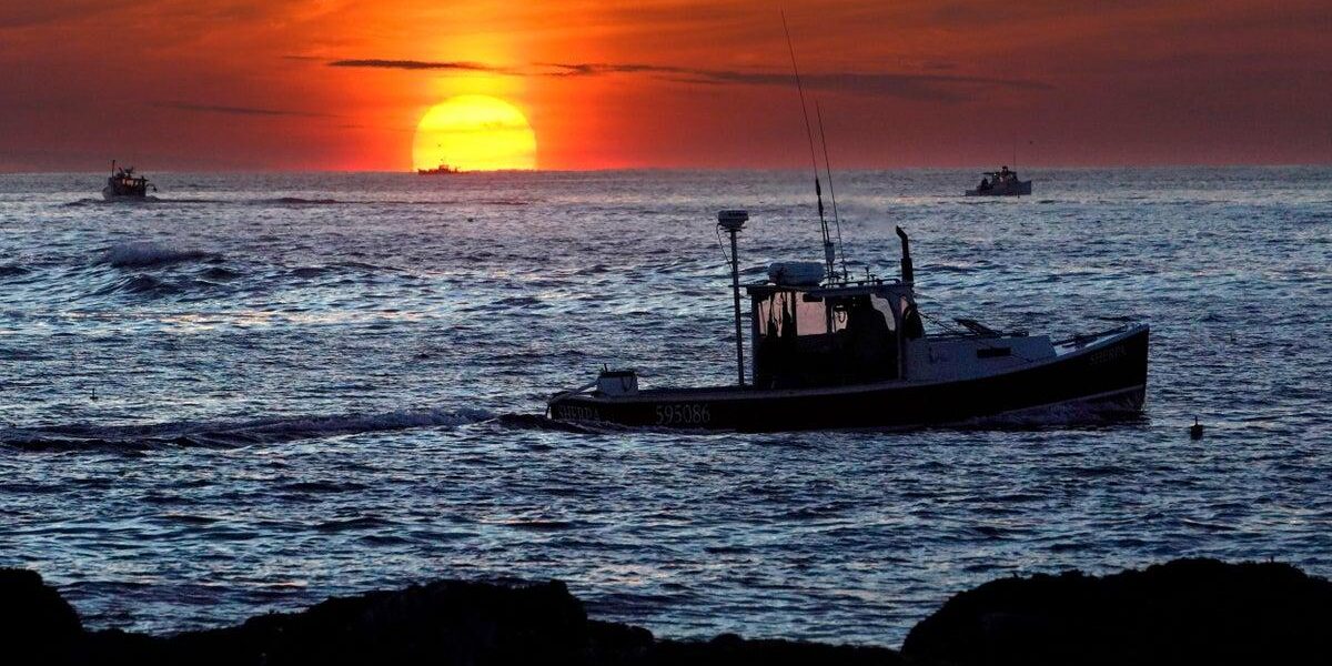 Appeals Court Signals Lobster Defamation Suit May Raise First Amendment Issues Appeals Court Signals Lobster Defamation Suit May Raise First Amendment Issues