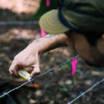 Connecticut Launches First Decade-Long Black Bear Population Survey Connecticut Launches First Decade-Long Black Bear Population Survey