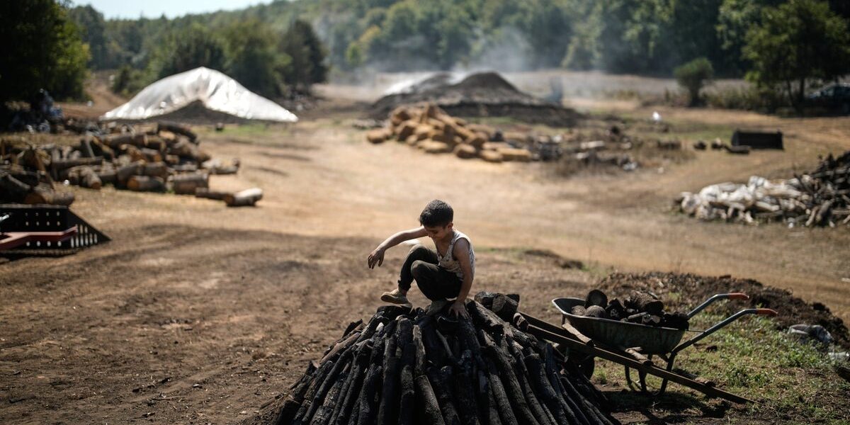 Preserving Tradition: Father and Sons Sustain Charcoal Craft in Turkey Preserving Tradition: Father and Sons Sustain Charcoal Craft in Turkey