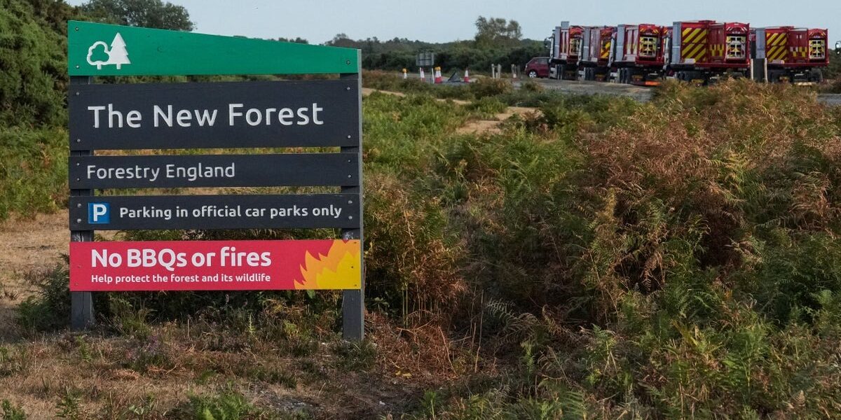 Emergency Alert Issued as New Forest Wildfire Enters Seventh Day