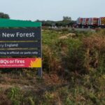 Emergency Alert Issued as New Forest Wildfire Enters Seventh Day Emergency Alert Issued as New Forest Wildfire Enters Seventh Day