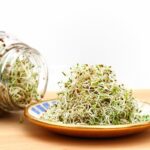 Salmonella and E. coli Outbreak: Alfalfa Sprouts Linked to 15-State Illness Surge Salmonella and E. coli Outbreak: Alfalfa Sprouts Linked to 15-State Illness Surge