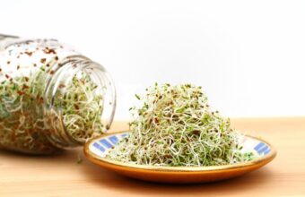 Salmonella and E. coli Outbreak: Alfalfa Sprouts Linked to 15-State Illness Surge