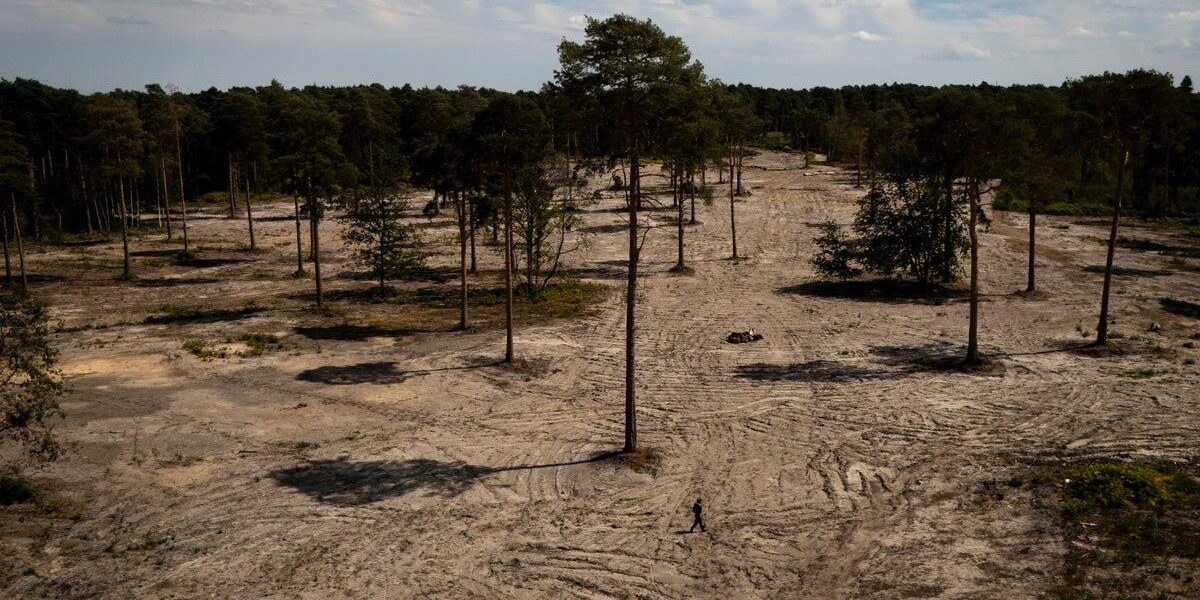 Wisley Village Endures Record-Breaking 50-Day Drought Amid Looming Heatwave Wisley Village Endures Record-Breaking 50-Day Drought Amid Looming Heatwave