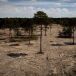Wisley Village Endures Record-Breaking 50-Day Drought Amid Looming Heatwave Wisley Village Endures Record-Breaking 50-Day Drought Amid Looming Heatwave