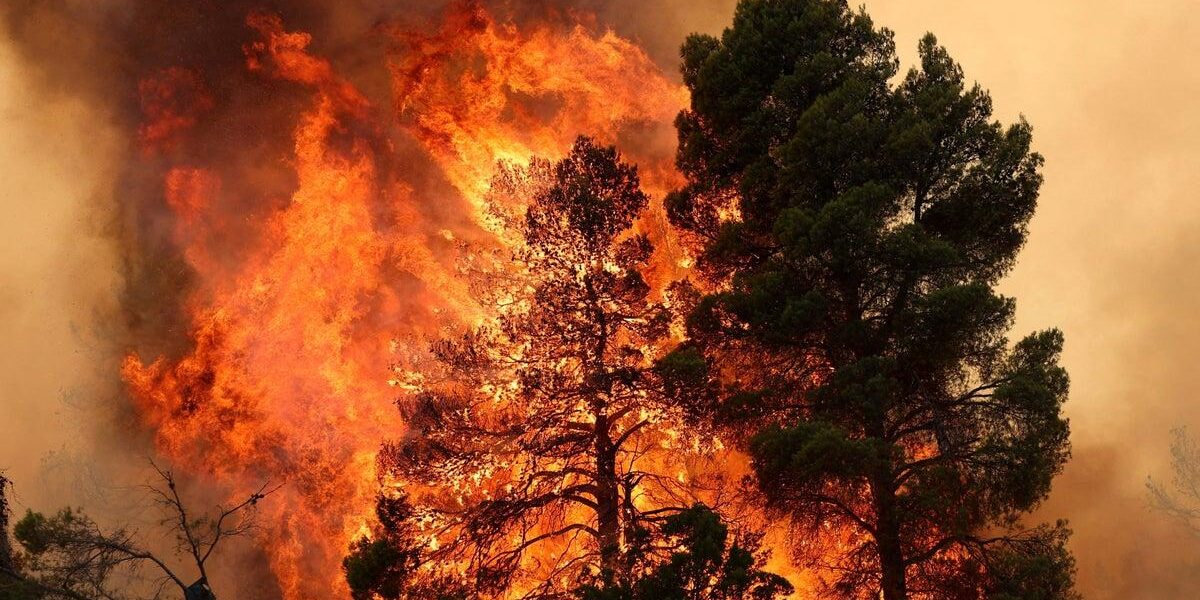 Unprecedented Wildfires Ravage Europe Amid Record-Breaking Heatwaves Unprecedented Wildfires Ravage Europe Amid Record-Breaking Heatwaves