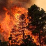 Unprecedented Wildfires Ravage Europe Amid Record-Breaking Heatwaves Unprecedented Wildfires Ravage Europe Amid Record-Breaking Heatwaves